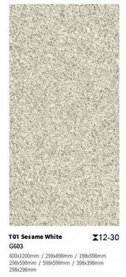 kopen Niet-glijdende kleivloertegels 300x300mm 600x1200mm Buitensteen online vervaardiging