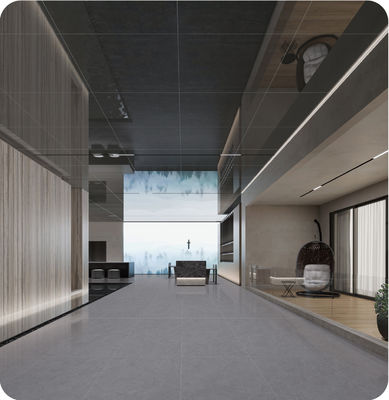 kopen 600x1200 mm diepgrijze antibacteriële porseleinen tegels voor binnenvloeren online vervaardiging