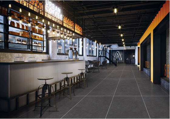 kopen Diepgrijs 48x24 Sterrenhemel Geglazuurde Porseleinen Tegel Antibacteriële Vloer online vervaardiging