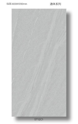 kopen Volledige porseleinen tegels voor buitenvloeren van AAA-klasse 60x120 cm online vervaardiging