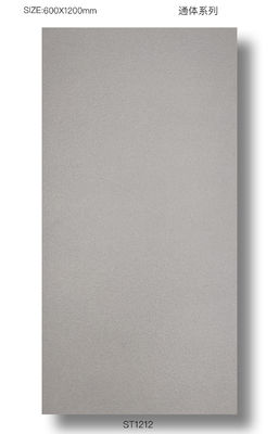 kopen 48x24 Grijze Porseleinen Terrastegels - Vochtbestendig & Duurzaam online vervaardiging