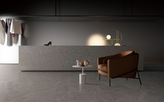 kopen 60x120cm Zachte Geglazuurde Porseleinen Tegel AAA Kwaliteit Binnenvloer online vervaardiging