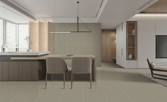 kopen 60x120cm Getextureerde Porseleinen Vloertegel Sterren Glazuur AAA Kwaliteit online vervaardiging