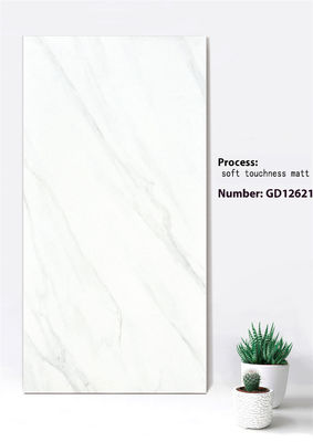kopen 600x1200mm Vuursteen Gordijngevel Tegels in Jazz Wit Diepgrijs online vervaardiging