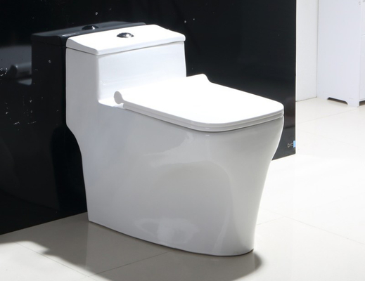 Terug naar muur Badkamer Dual Flush randloos toilet op de vloer gemonteerd