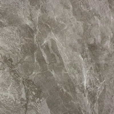 Antibacteriële 60x60cm gepolijste geglazuurde tegels Grijze binnenvloer Porseleinen panelen voor woonkamer