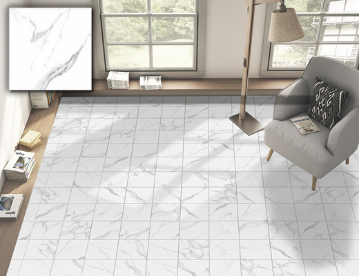Witte 250x250mm Keramische Rustieke Tegel voor Vloer en Muur