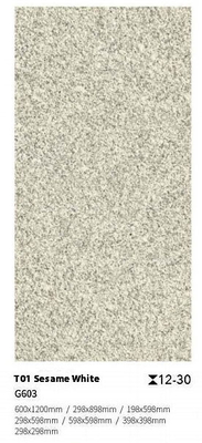 Niet-glijdende kleivloertegels 300x300mm 600x1200mm Buitensteen