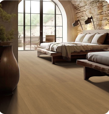120x60cm Duurzame tegels en SGS binnenvloer Houten porseleinen tegels voor woonkamer