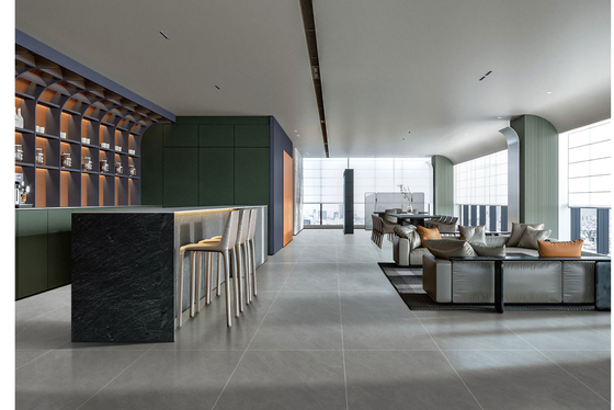 Interieurvloer Prachtig Baby Gezicht Verglas Porselein Tegel En Grijze 600x1200mm Tegels Voor Design En Restaurant