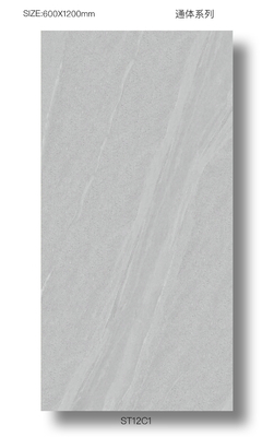 Buitenvloer Duurzaam 60x120cm Volledige porseleinen decoratie tegels Voor terras Grijze milieuvriendelijke tegels