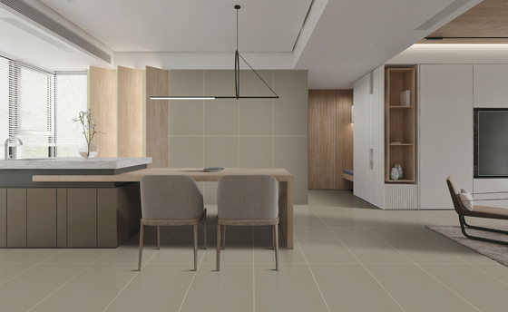 Textured Porcelain Floor Tile Voor Slaapkamer 60x120cm Sterrenglazuur SGS