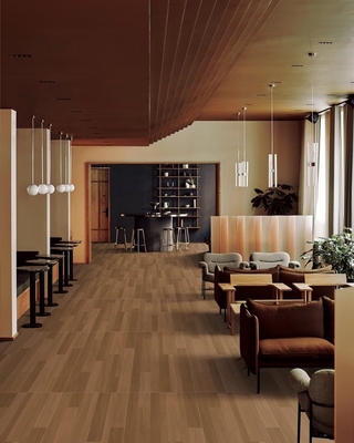 Waterdicht 600x1200mm Hout Look Porseleinen tegels En Buitenvloer Textured Tegels Voor Hotel