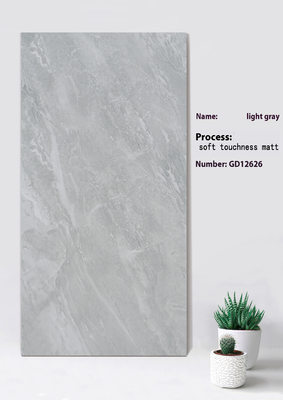 Antibacteriële lichtgrijze zachte gevoeligheid Matt Tile Voor winkelcentrum 600x1200mm