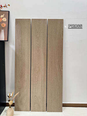 Mat Antibacteriële Binnen Porseleinen Vloertegels 200x1200mm Voor Woonkamer en Kantoor