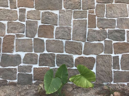 14mm SGS Gecultiveerde Steenbaksteen Decoratief voor Tuinmuur het Modelleren