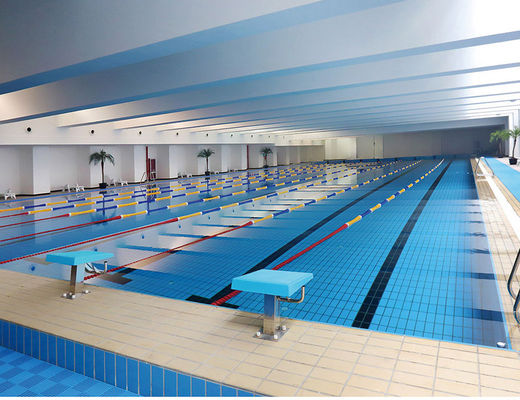 S003 betegelt de Steeg 24kg/Carton Ceramische Decking Zwembad, 115x240mm Verglaasde Randtegel